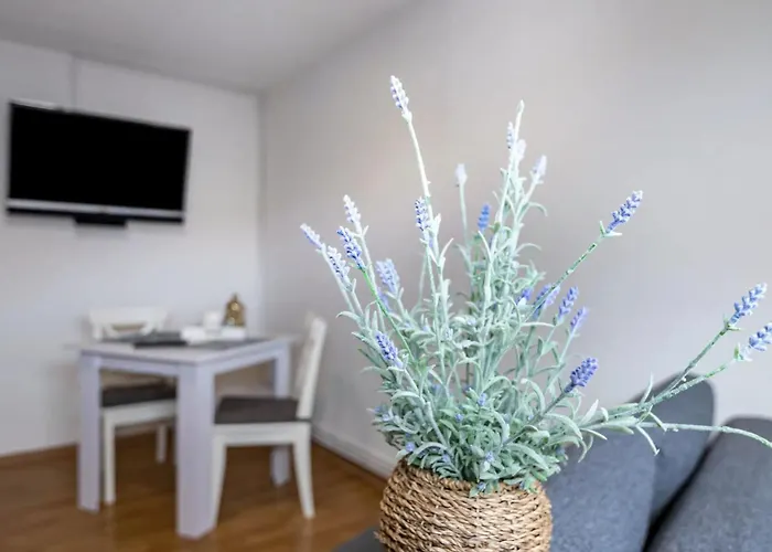 Practical Mechanic's 5